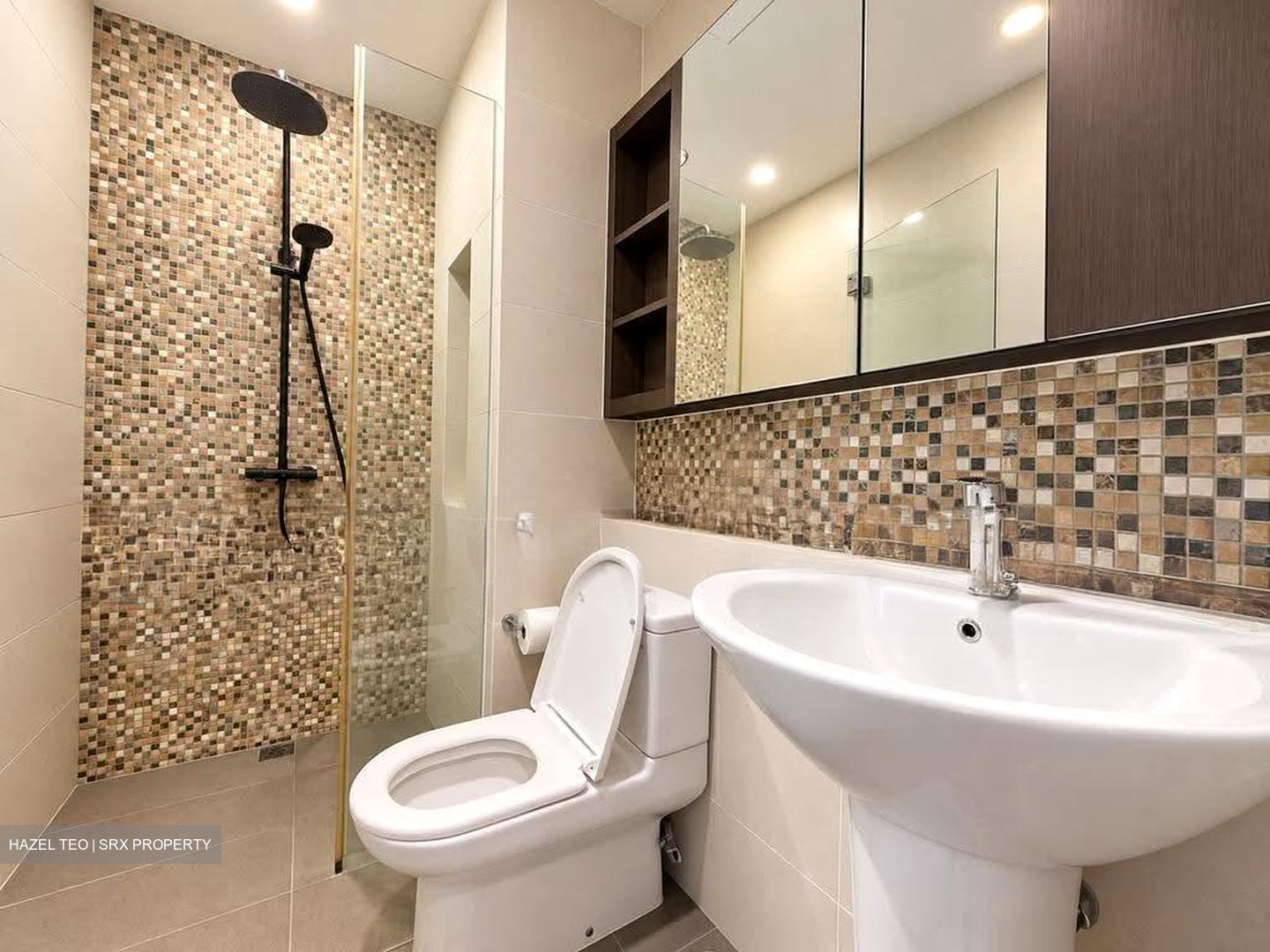 Radiance @ Bukit Timah (D21), Terrace #638602241